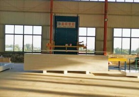 Shandong Weifang sunshine composite board factory